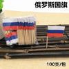 100Pcs Disposable Flag Toothpicks, Food Picks with Mini Flags for Fruit Cocktail Cake Steak, Bar Party Decorative Skewers