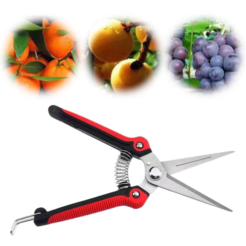 Garden Hand Pruning Shears Stainless Steel Non-slip Handle Potted Branches Scissors Garden Scissor for Flowers Harvesting Fruits