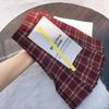 JK Plaid Pleated A-Line Skirt - High Waist, Slim Fit, Anti-Exposure, Spring & Autumn Korean Style