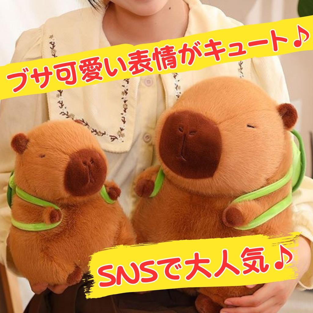 Leap Raupe Kapybara Plyšová želva 20cm