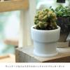 Ideaco Glass Flower Pot No. 3 Diameter 11.5cm White Milk Glass Planter Pot 3
