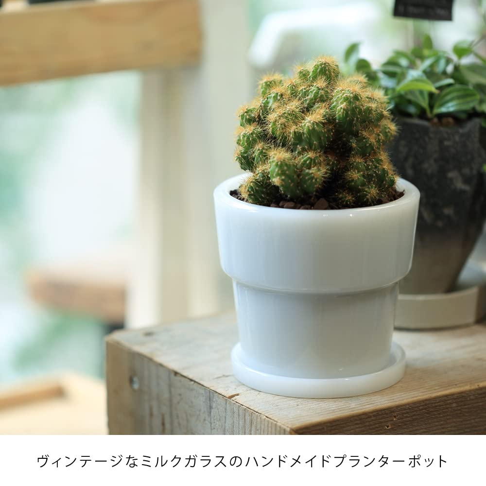 Ideaco Glass Flower Pot No. 3 Diameter 11.5cm White Milk Glass Planter Pot 3