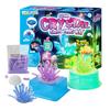 Glow-in-the-Dark Science Set For Kids Funny Children's Educational Toys For Boys Girls