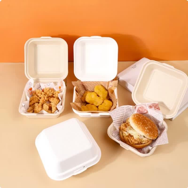 Eco-Friendly Pulp Takeaway Box with Lid