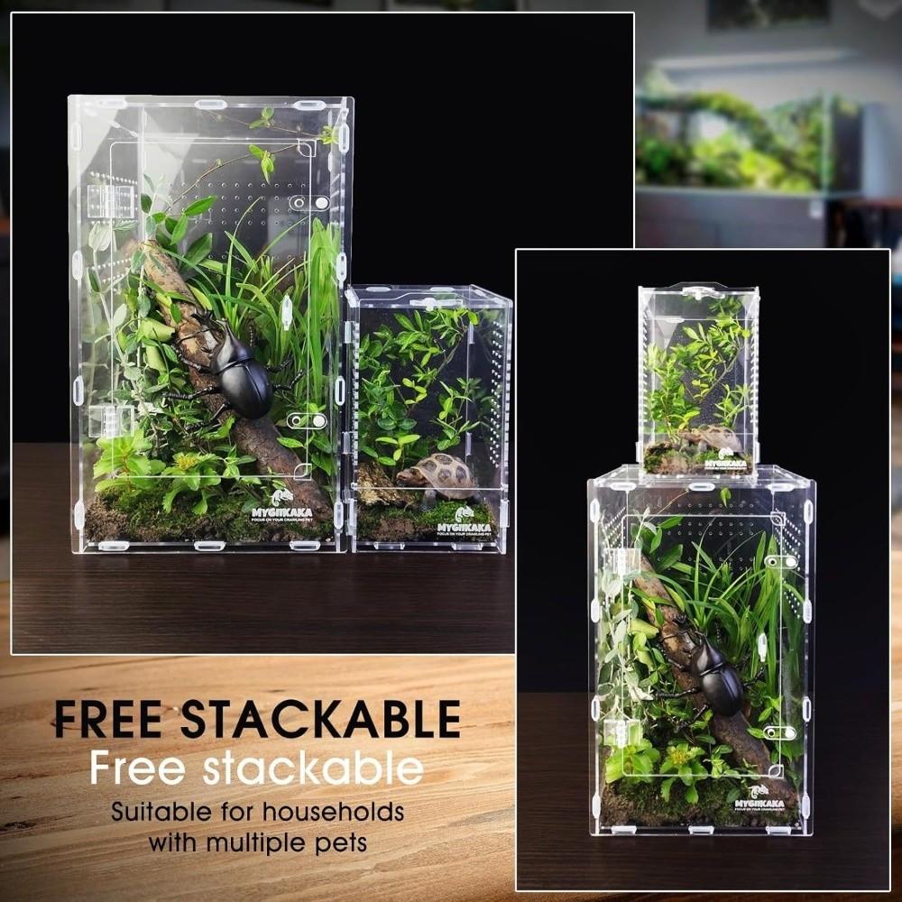 Escape Proof Jumping Spider Enclosure Acrylic Reptile Habitat New Spider House  Small Pet Supplies