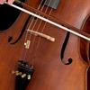 2Pcs Tone Mutes Suppressor Enhances Sound Quality For Musicians And Students Professional Cello Wolf Tone Eliminators