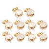 10Pcs Earring Backs Crown Earrings Backings Replacements Hypoallergenical Earrings Support Jewelry Making Accessories