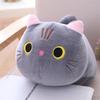 Cartoon Plush Toy Children' Sofa pillow insserts Down Padded Gift Decoration
