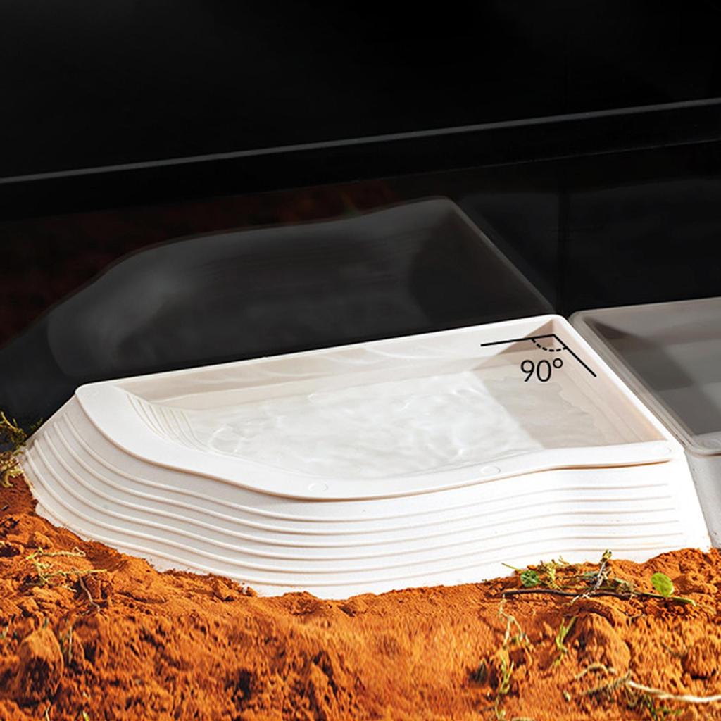 Reptile Bathing Pool Bowl Aquarium Ornament Feeding Dish Tortoise for