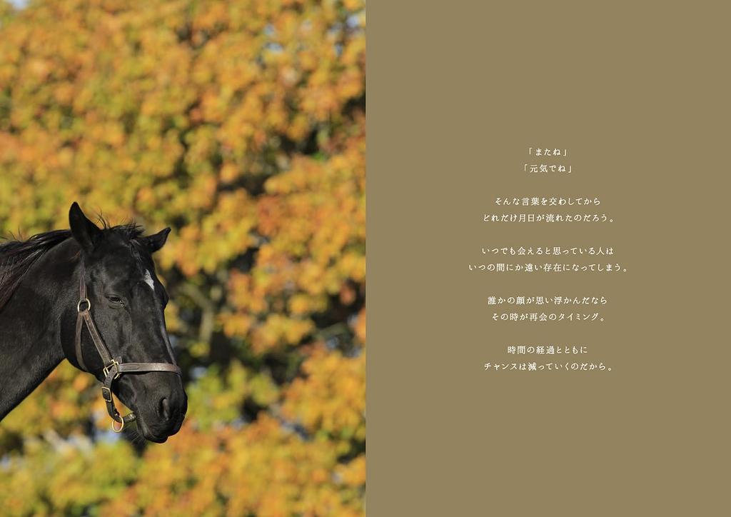 Umaletter Photo & Poem 100 Heartwarming Messages from Horse Breeding Areas