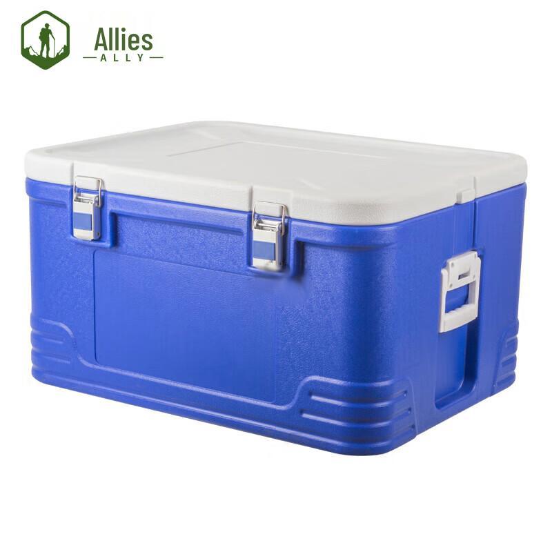 Ally Insulated Food Delivery Box
