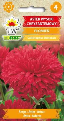 Hoge asterchrysant Vlamrode bloemzaden 1g voor de tuin