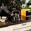 Teesa Stainless Steel Kettle with Whistling 3L Gas Induction
