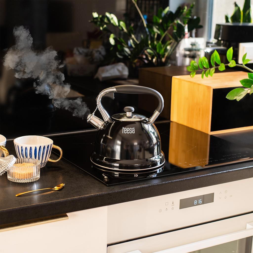 Teesa Stainless Steel Kettle with Whistling 3L Gas Induction