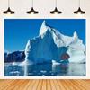 Arctic Glacier Photography Backdrop Supplies Winter Natural Scenery Ice Snow Background Party Decoration Banner Photo Shoot Prop1984