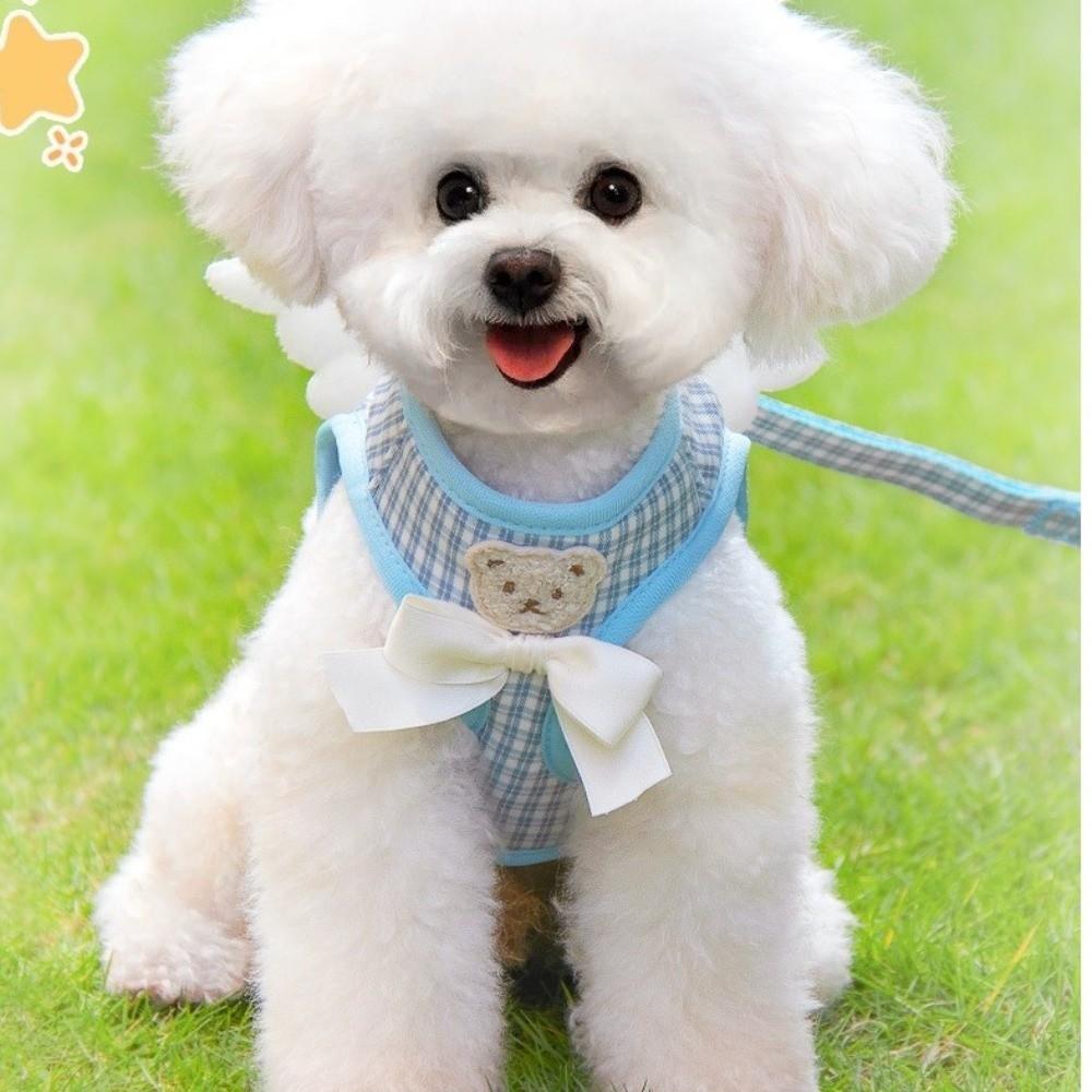 Breathable Cat Dog Harness Set Adjustable Cat Leash Cute Dog Traction Rope Walking