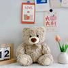 25CM süße bunte Fliege Bär Puppe Plüsch Spielzeug Umarmung Bär Puppe Kinder Geburtstagsgeschenk Kissen Teddybär Home Wohnzimmer Zimmer Schlafzimmer
