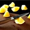 Cleaver Knife Kitchen Knife Set of Utility Chef Knife Meat Cleaver Vegetables Cutting Knife High Carbon Steel Boning Knife