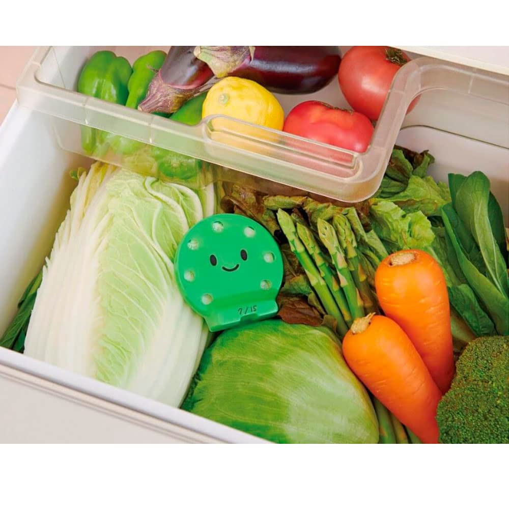 Cogit Vegeta Vegeta Vege Coco-chan