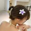 6 Stück Haarkralle Lebendige Farbe Blumenform Hinterkopf Großes Haar