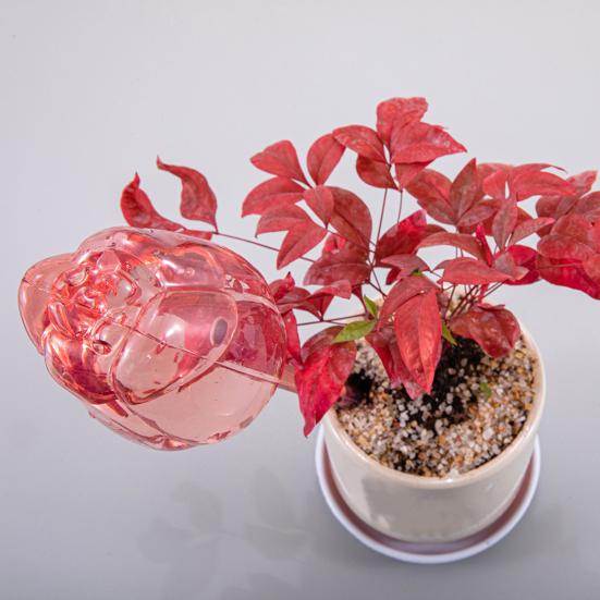 Self Watering Globes Tulip Watering Bulbs Planter Insert Automatic Plant Watering Globes for Indoor Outdoor Plants