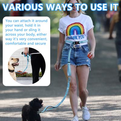 Perros – Collares y correas