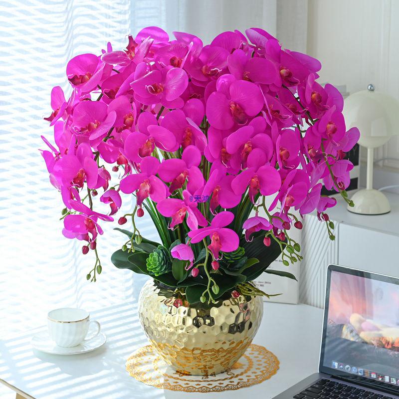 Artificial Phalaenopsis Floral Arrangement for Living Room Display - Potted Decoration for TV Cabinet