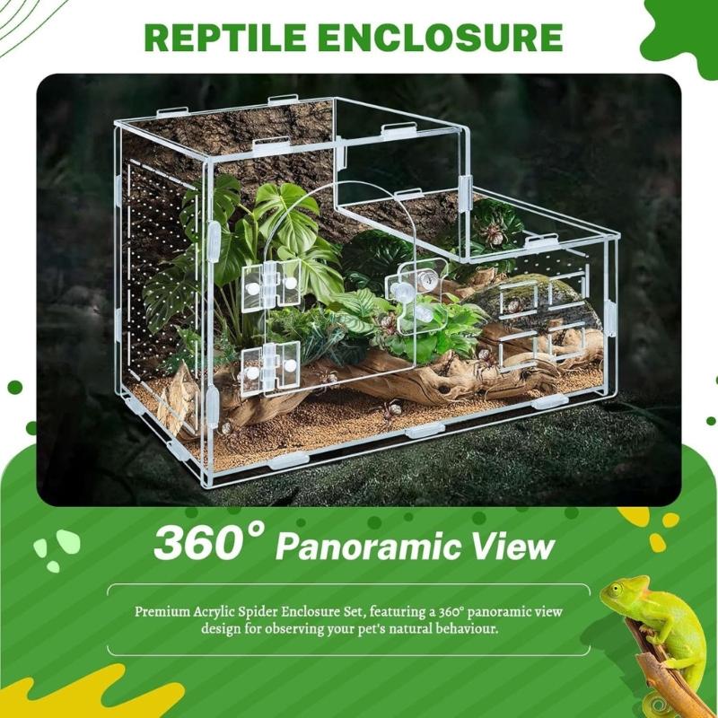 Reptilien Terrarium für Springspinnen Schlange Mit Klarem Beobachtungsdesign Und Sicheren Befestigungen Für Amphibien Lebensräume Box