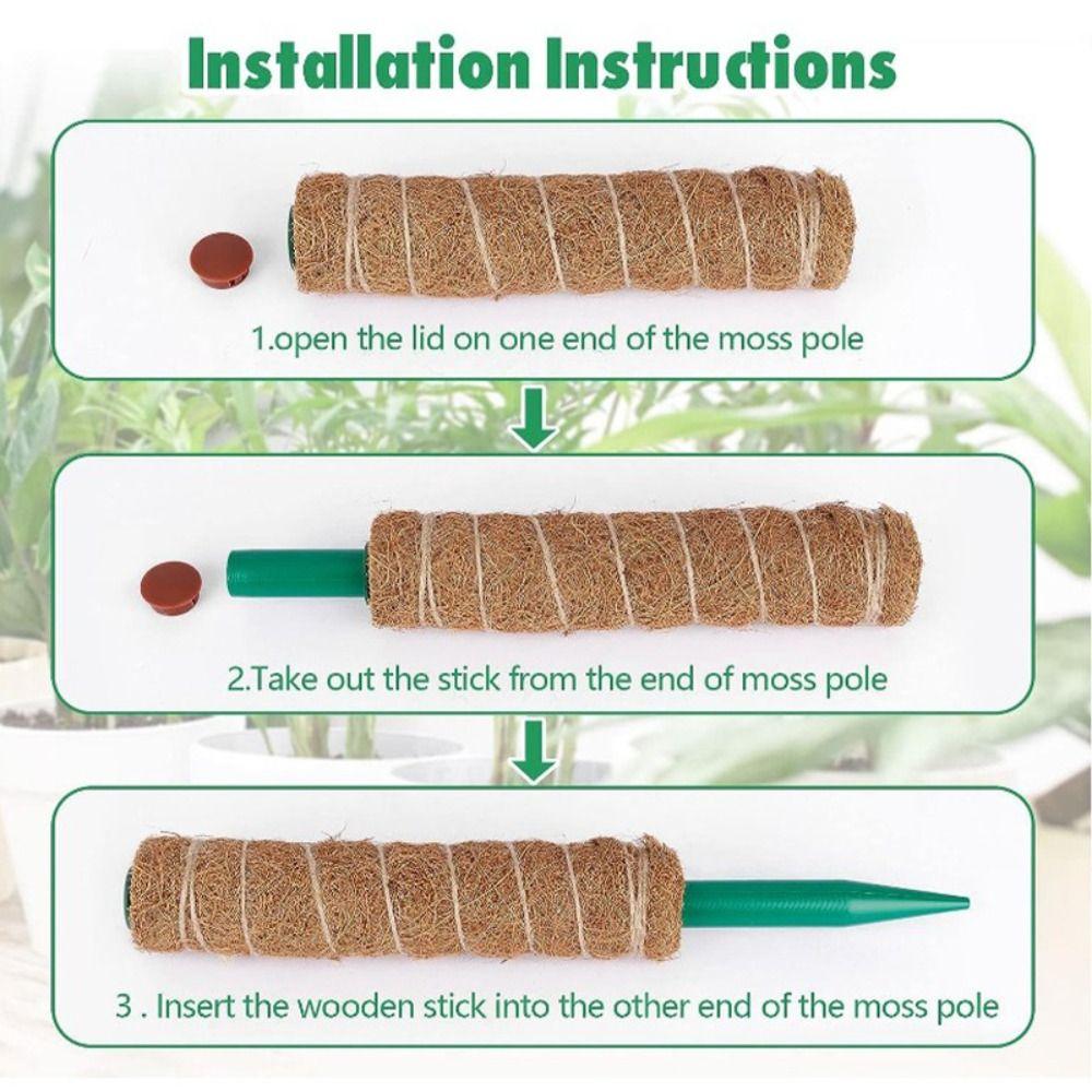 Fashion Detachable Moss Pole To Grow Upwards 32/42/52cm Plants Climbing Support Gardening Tools Palm Vines Stick Outdoor