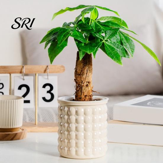 Nordic Design Planter Self-Absorbing Flowerpot with Transparent Water Level Indicator Self Watering Decorative Home Plant Pot Bubble Texture