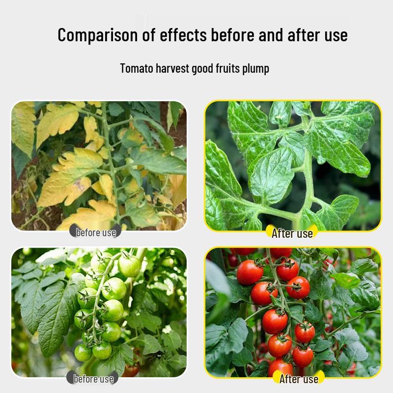 Bio Kirschtomaten Dünger: Nährlösung für Topf- und kleine Frucht-Tomaten