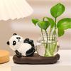 Desktop Glass Planter Vase Holder Small Cute Ceramic Panda Hydroponic Vase Decorative Flowers Plants Pot for Desk Table
