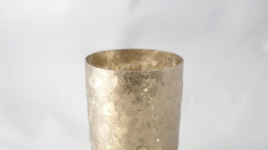 HORIE Made In Niigata Prefecture Titanium Double Tumbler Kiln Making PREMIUM 350cc Gold T08KM350 Tsubame,