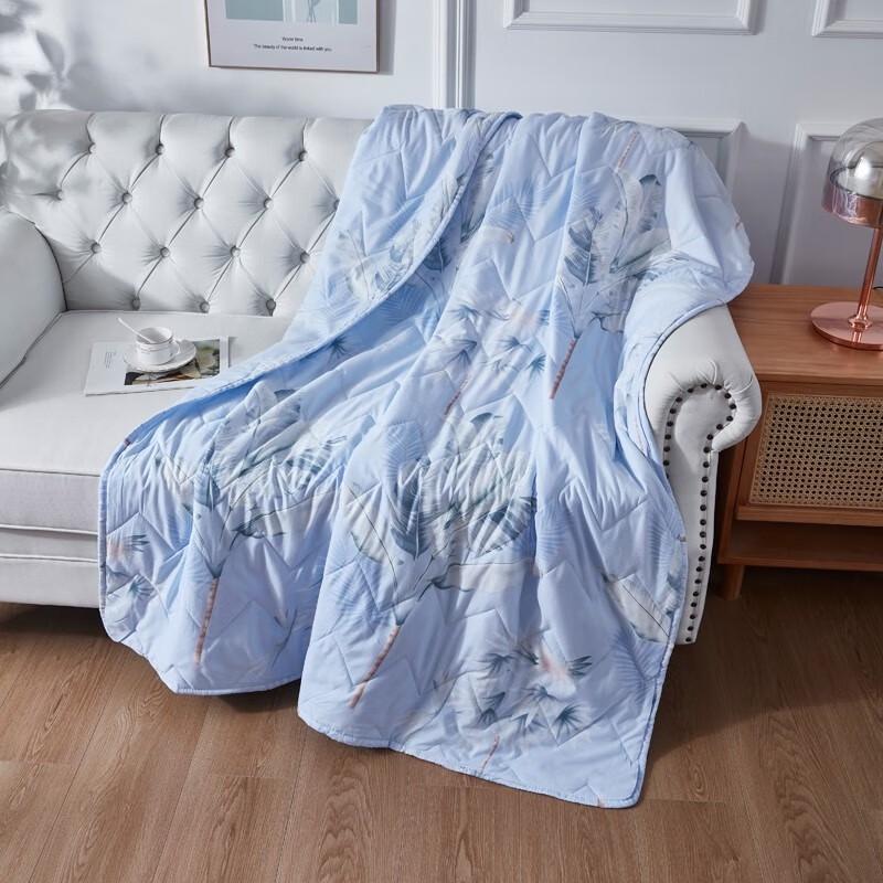 Tangna Home Textiles Brushed Summer Quilt