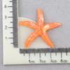 Starfish Resin Accessory Kit: Phone Case, Hair Clip, DIY Ocean Clog Patches