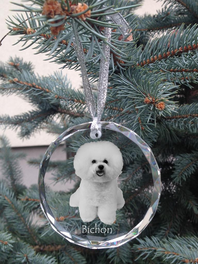 Bichon Frise, Bichon Tenerife - Crystal Bauble with a Photo, Dog Photo In Crystal, Personalized Christmas Tree Ornament by Art-Dog Brand