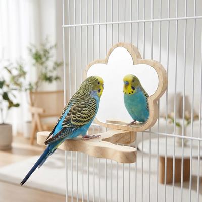 Slijtvaste Houten Vogel Trainingsstand Vogel Slijp Zitstok Houder Vogelkooi Accessoires
