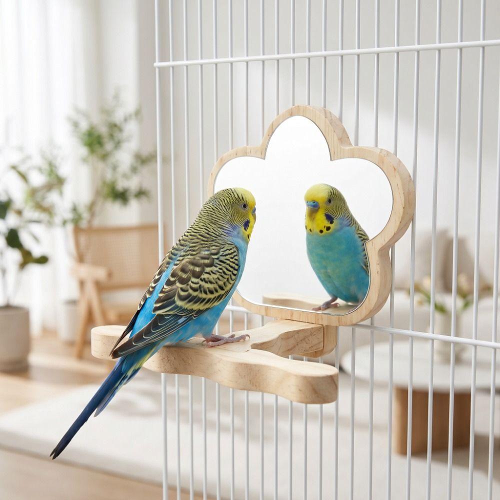 Acrylic Mirror Wood Bird Training Stand Birds Grinding Perch Holder  Small Medium Animals