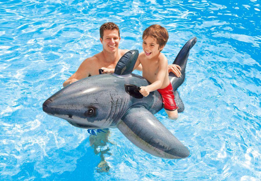 Inflatable Shark #57525