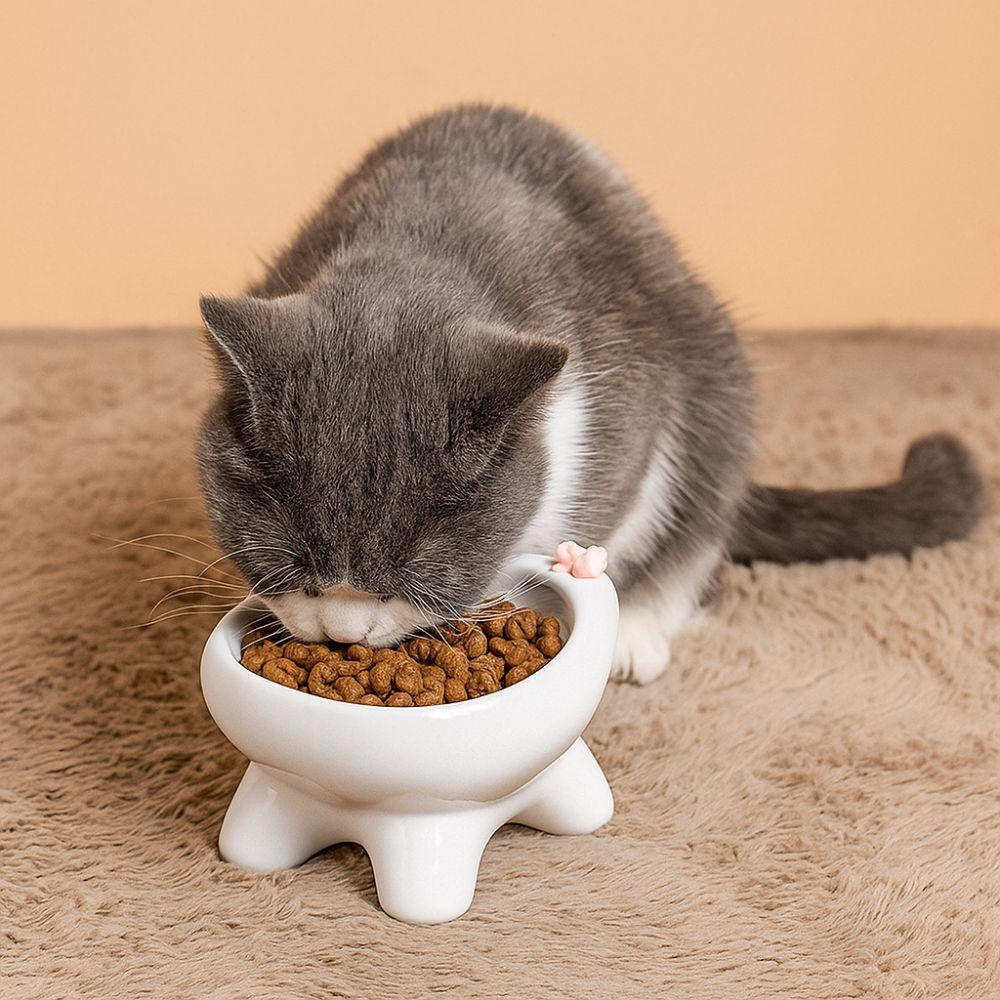 Bow-Tie Ceramic Pet Bowls Large-Diameter Pet Food Bowls Cat Water Bowl  for Cats and Dogs