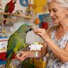 Bird Toys Fun Bite-Resistant Pet Chewing Supplies Colorful Parakeet Toys Wheel For Macaws Lovebird Conures Cockatiels Finches