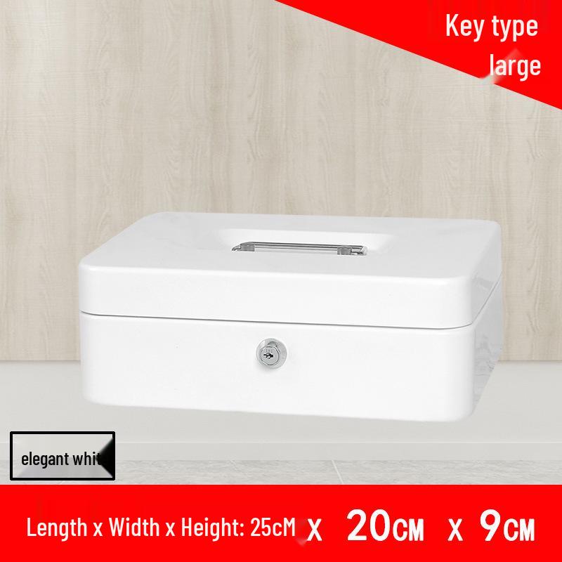 Portable Thickened Metal Cash Box with Lock and Password, Secure Storage Organizer