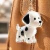 Organizador de Accesorios Pequeños para Viaje Llavero Recuerdo de Pelo de Mascota, Colgante Transparente Portátil Conmemorativo, Regalo DIY Significativo Amantes del Pelaje Fetal