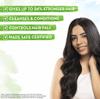 Mamaearth Rosemary Anti-Hair Fall Combo Shampoo + Conditioner 250 ml Each For Stronger, Softer Hair