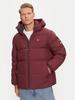 Зимняя водоотталкивающая пуховая куртка Tommy Hilfiger (DM0DM19786)