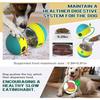 Jouet interactif indestructible pour chien, distributeur de friandises, alimentation lente pour races mordantes