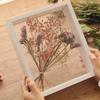 4cm deep6“/7”/8“/10” Transparent Flower Wooden Frame Dried Flower Rose Flower Preservation DIY Photo Display Box Home Decoration
