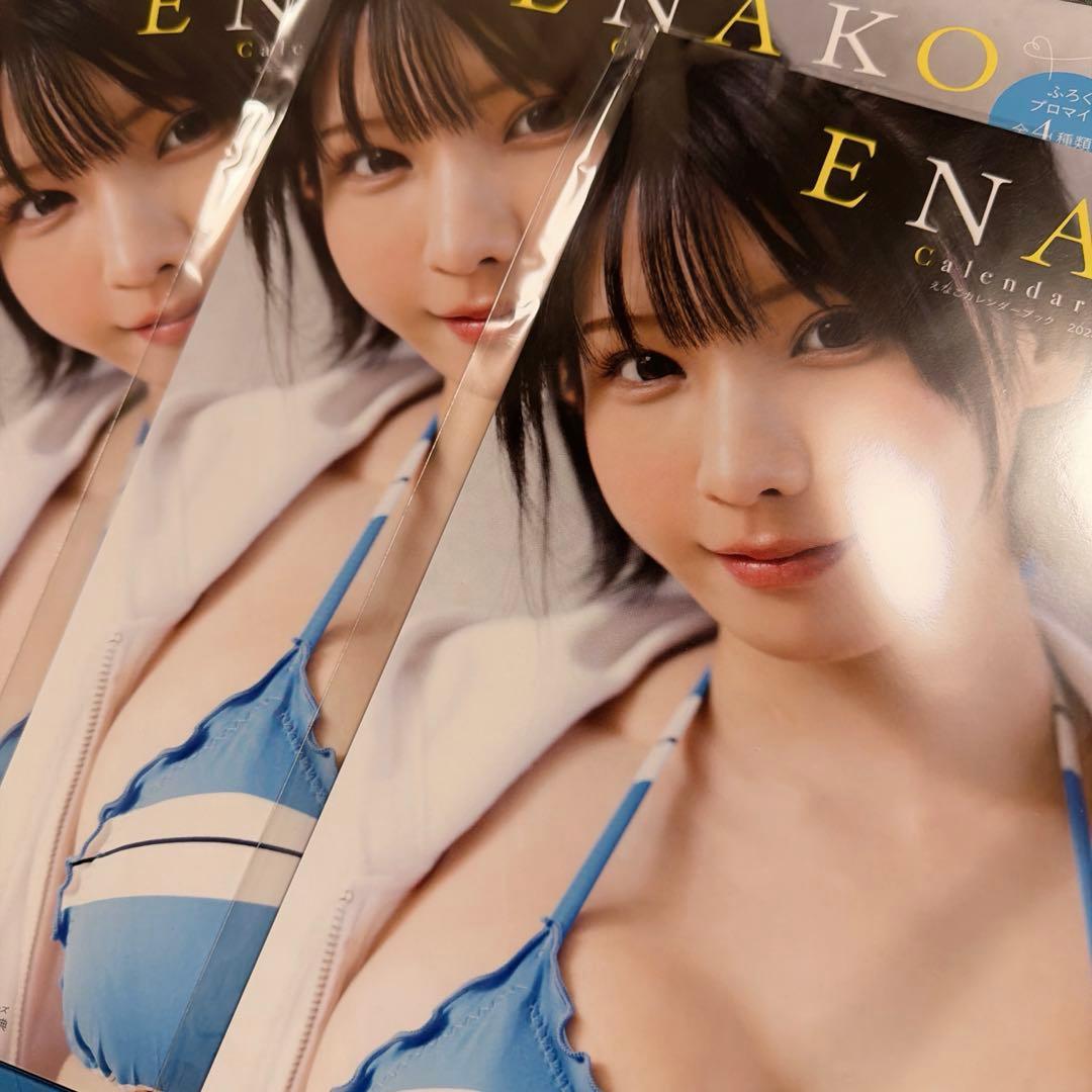 Enako Calendar Book 2026-2027 3-book set