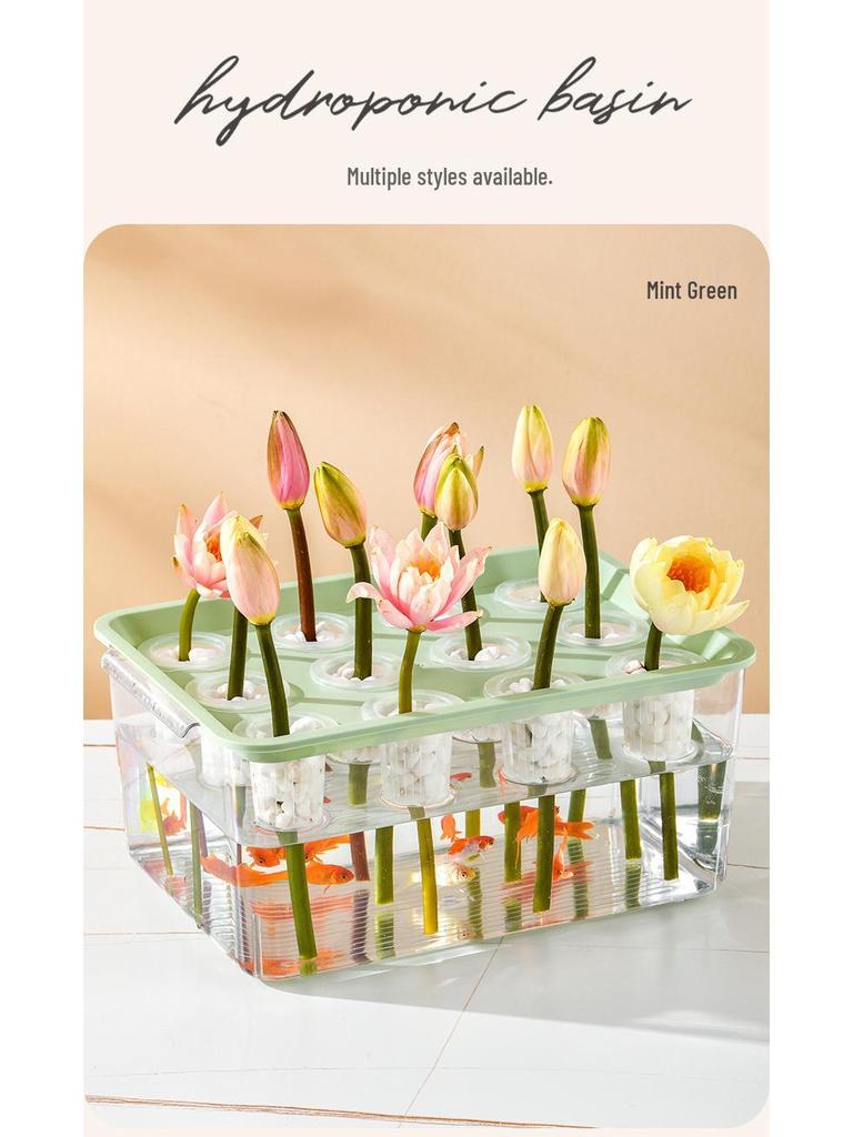 Eco-Friendly Betta Fish Tank: Stylish Desktop Micro Landscape for Living Room & Office with Goldfish & Plant Symbiotic Aquarium