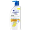 Head & Shoulders Anti-Dandruff Oil Control Shampoo